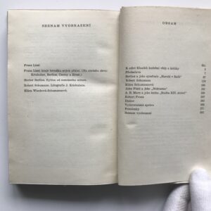 Liszt o svých současnících, Franz Liszt