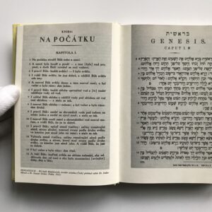 ŽIdovská Praha, průvodce památkami, Ctibor Rybár