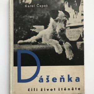 Dášeňka čili život štěněte, Karel Čapek