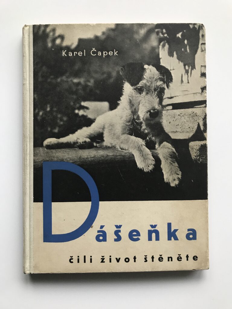 Dášeňka čili život štěněte, Karel Čapek