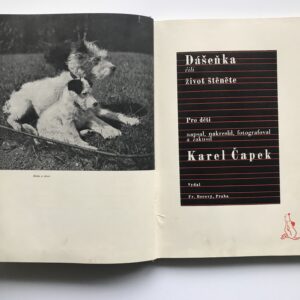 Dášeňka čili život štěněte, Karel Čapek