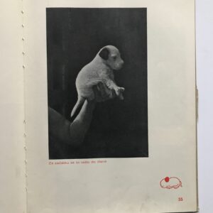 Dášeňka čili život štěněte, Karel Čapek