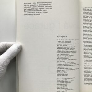 Nová figurace, Eva Petrová