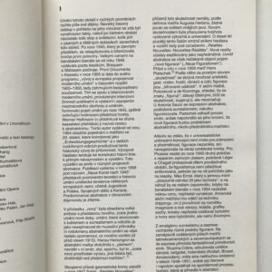 Nová figurace, Eva Petrová