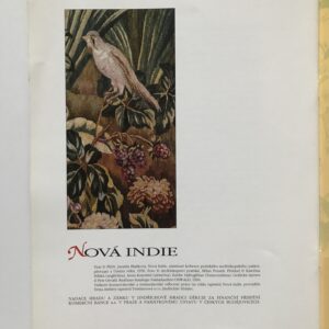 Nová Indie, Jarmila Blažková