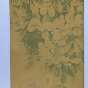 Nová Indie, Jarmila Blažková