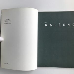 Michael Rittstein – Čerstvě natřeno