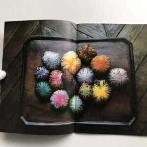 Sheila Hicks