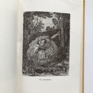 Žlutá růže Josefa Mánesa, Josef Richard Marek, Jan Wenig