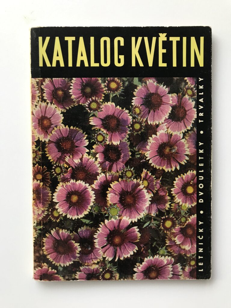 Katalog květiny – letničky, dvouletky, trvalky