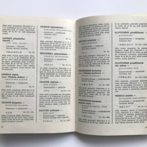 Katalog květiny – letničky, dvouletky, trvalky