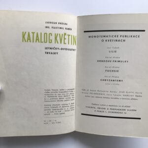 Katalog květiny – letničky, dvouletky, trvalky