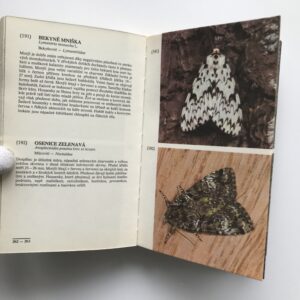 Brouci a motýli ve fotografii, Jiří Pradáč, Rudolf Hrabák