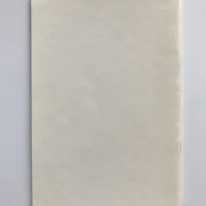 Muškařské kapitoly, Králíky, 1993