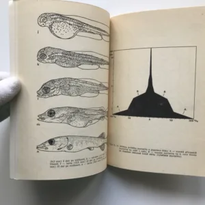 Štika obecná, Stanislav Lusk, Jaroslav Krčál