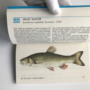 Naše ryby, Josef Mihálik, František Reiser