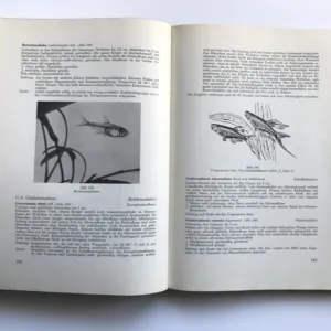 Aquarien-kunde, Band 1, Günther Sterba