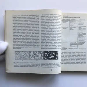 Technika v malířské tvorbě, Bohuslav Slánský