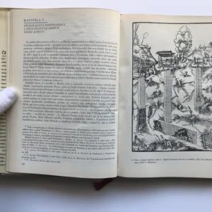 Doba předbělohorská 1526-1547 I/I, Josef Janáček