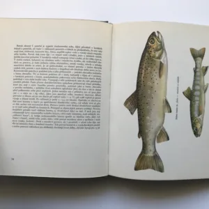 Sladkovodní ryby, Juraj Holčík, Jozef Mihálik