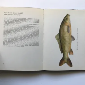 Sladkovodní ryby, Juraj Holčík, Jozef Mihálik