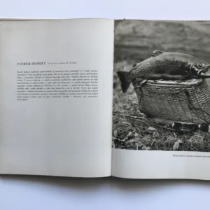 Dravci peřejí, Sláva Štochl