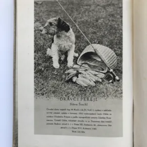 Dravci peřejí, Sláva Štochl
