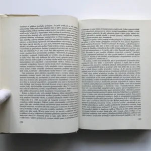 Průmyslová revoluce (Vývoj pojmu a koncepce), Jaroslav Purš