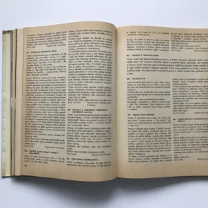 Moderní studená kuchyně, Vilém Vrabec