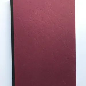 Die Umgestaltung der Prager Burg zwischen 1920-1935 von Josip Plecnik (Magisterarbeit), Zuzana Cimprichová