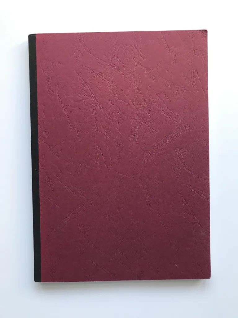 Die Umgestaltung der Prager Burg zwischen 1920-1935 von Josip Plecnik (Magisterarbeit), Zuzana Cimprichová
