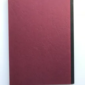 Die Umgestaltung der Prager Burg zwischen 1920-1935 von Josip Plecnik (Magisterarbeit), Zuzana Cimprichová