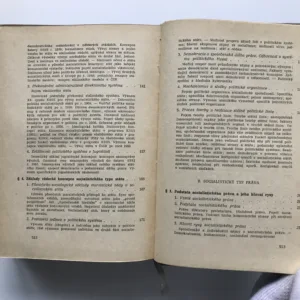 Teorie státu a práva, díl II, Jiří Boguszak