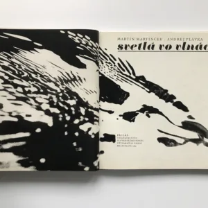 Svetlá vo vlnách, Martin Martinček, Andrej Plávka