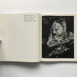 Svetlá vo vlnách, Martin Martinček, Andrej Plávka