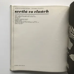 Svetlá vo vlnách, Martin Martinček, Andrej Plávka