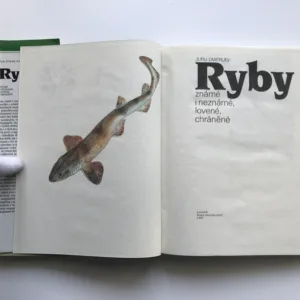 Ryby / Savci / Ptáci / Hmyz / Obojživelníci a plazi, Jurij Dmitrijev