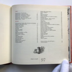Rok na vsi aneb Kalendářové vyprávění Dorotky a Jakuba z 19. století, Kamila Skopová