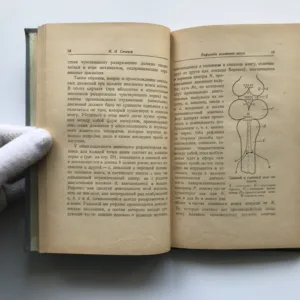 Рефлексы головного мозга (Mozkové reflexy), Ivan M. Sechenov