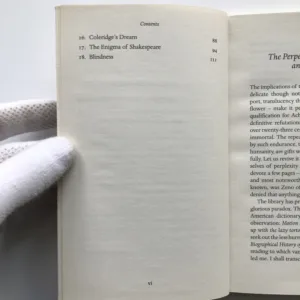The Perpetual Race of Achilles and the Tortoise, Jorge Luis Borges