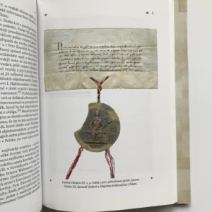 Václav III. (1289-1306), Poslední Přemyslovec na českém trůně, Karel Maráz