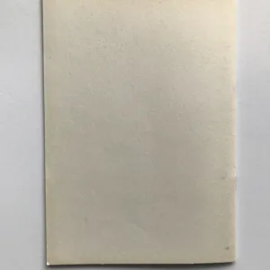 Ostrovský klášter (Průvodce), Pavel Břicháček