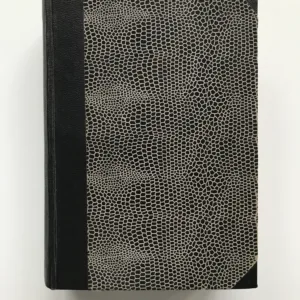 Anglicky svěže a spolehlivě, Josef Vachek