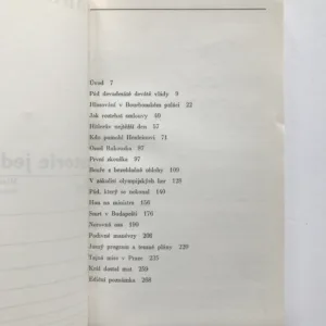 Historie jednoho roku, Robert Kvaček