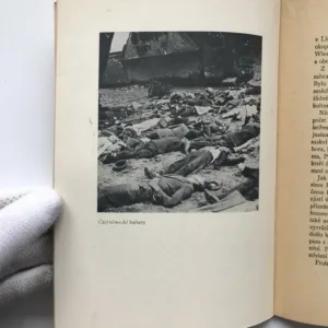 Lidice, Cyril Merhout