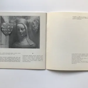 Jan Lucemburský ve světle antropologicky lékařského průzkumu, Emanuel Vlček