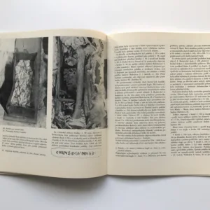 Nejstarší Přemyslovci ve světle antropologicky lékařského průzkumu, Emanuel Vlček