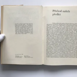 Čechy v raném středověku, Rudolf Turek