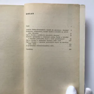 Češi a Slováci za národního obrození a do vzniku československého státu, Jan Novotný