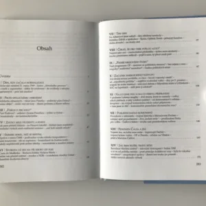 Devětaosmdesátý (Vzpomínky a přemýšlení. Krédo), Petr Pithart